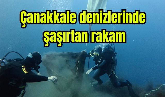 Çanakkale denizlerinde şaşırtan rakam (Video)