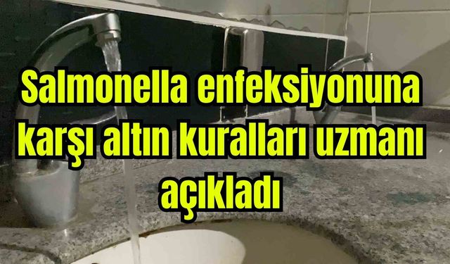 Salmonella enfeksiyonuna karşı altın kuralları uzmanı açıkladı