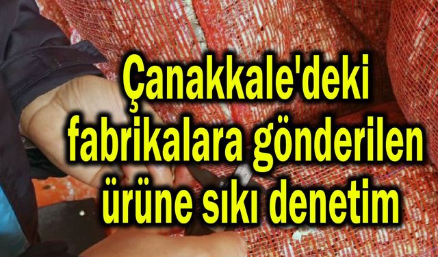 Çanakkale'deki fabrikalara gönderilen ürüne sıkı denetim