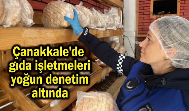 Çanakkale'de gıda işletmeleri yoğun denetim altında