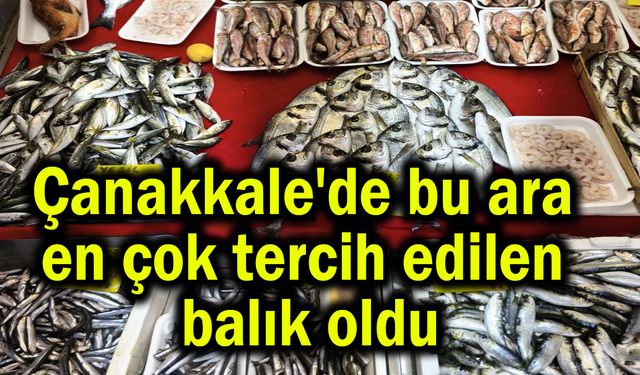 Çanakkale'de en çok tercih edilen balık oldu