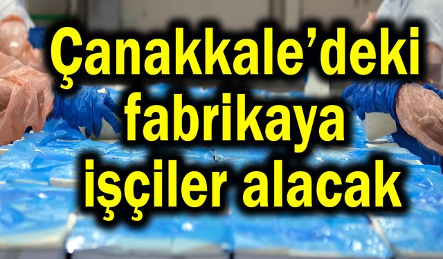 Çanakkale’deki fabrikaya işçiler alacak