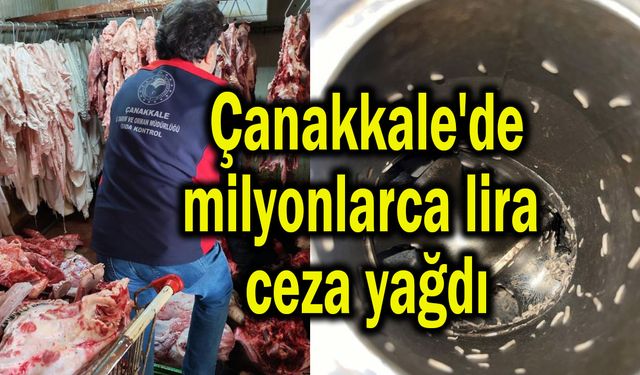 Çanakkale'de gıda işletmelerine milyonlarca lira ceza