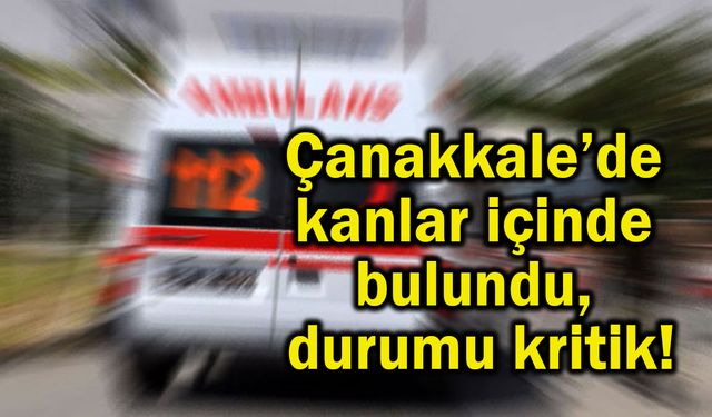 Çanakkale’de kanlar içinde bulundu, durumu kritik