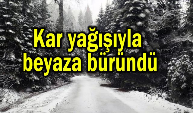 Kar yağışıyla birlikte beyaza büründü