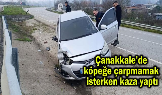 Çanakkale’de köpeğe çarpmamak isterken kaza yaptı