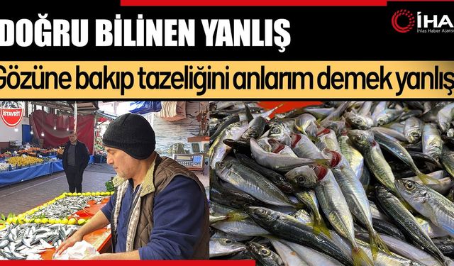 Balıkçılardan Uyarı: Tazelik Gözünden Anlaşılmaz (Video)
