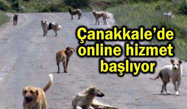 Çanakkale’de online hizmet süreci başlıyor