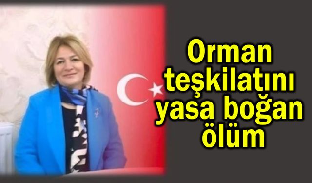 Orman teşkilatını yasa boğan ölüm