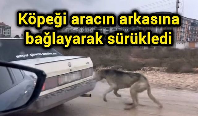 Köpeği aracın arkasına bağlayarak sürükledi