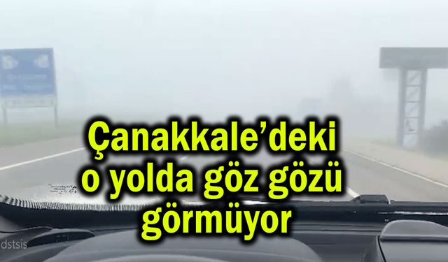 Çanakkale’deki o yolda göz gözü görmüyor (Video)