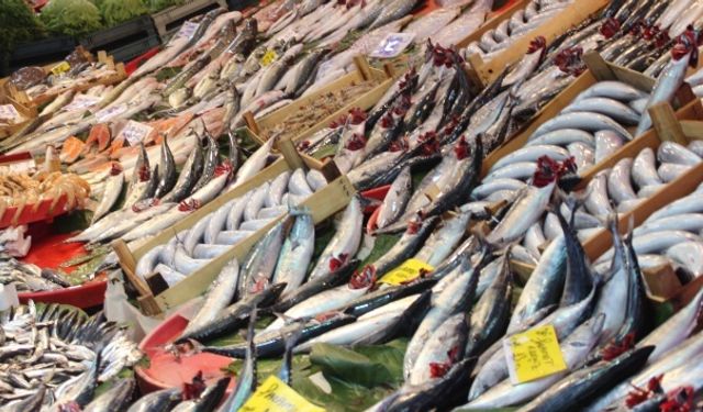 Aralık ayında en fazla pahalanan ürün taze balık oldu