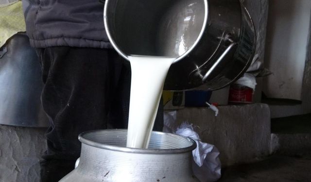 Çiğ süt fiyatları belli oldu