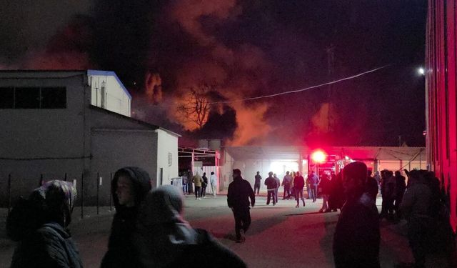 Strafor fabrikasında yangın