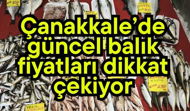 Çanakkale’de güncel balık fiyatları dikkat çekiyor