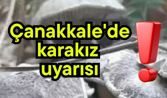 Çanakkale'de karakız uyarısı!