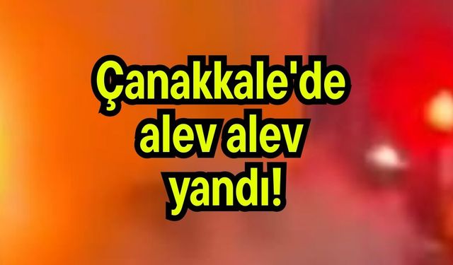 Çanakkale'de alev alev yandı!