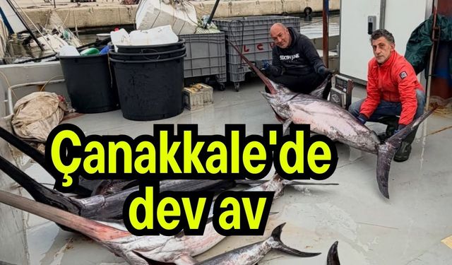 Çanakkale'de dev av