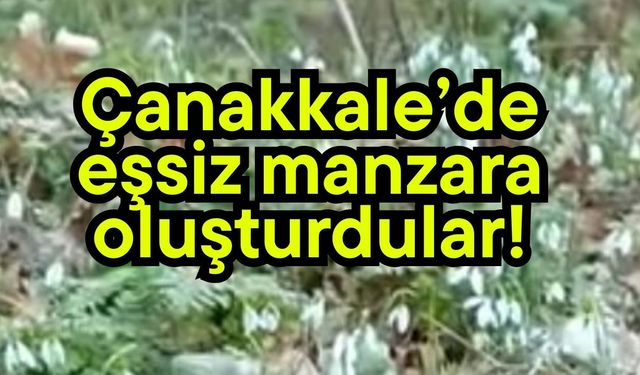 Çanakkale’de eşsiz manzara oluşturdular!