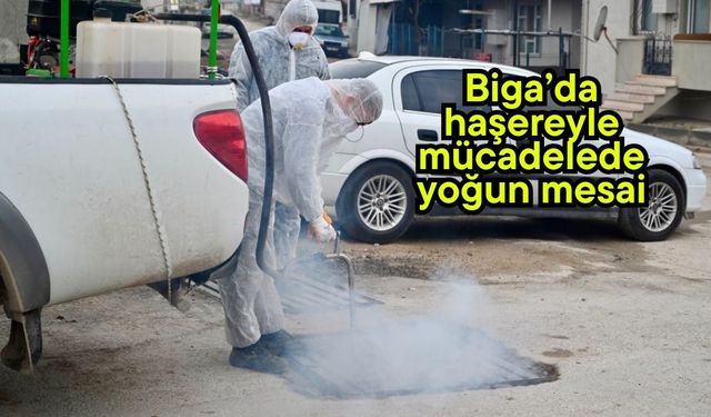Biga’da haşereyle mücadelede yoğun mesai
