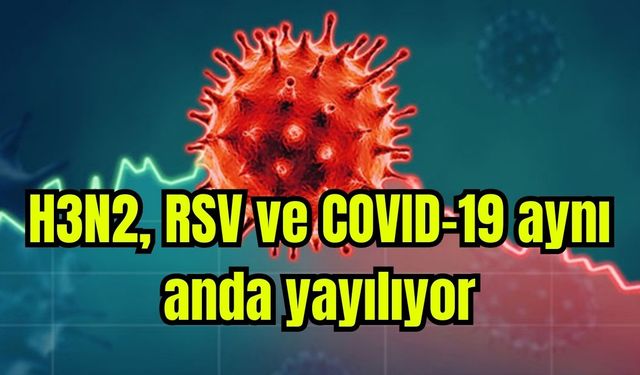 Profesörden ’üçlü salgın’ uyarısı