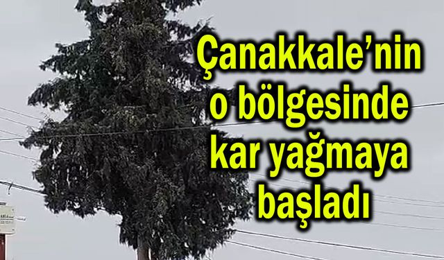 Çanakkale’nin o bölgesinde kar yağmaya başladı (Video)