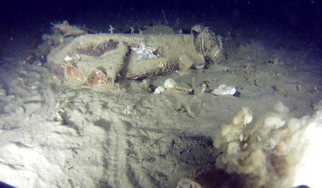 Marmara Denizi'ne 51 yıl önce düşen THY uçağına ait yeni izler bulundu (Video)