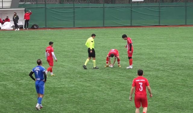 Maç esnasında top çarpan martı, kalp masajıyla hayata döndü