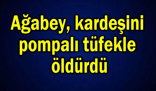 Ağabey, kardeşini pompalı tüfekle öldürdü