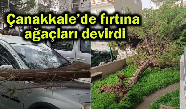 Çanakkale’de fırtına ağaçları devirdi