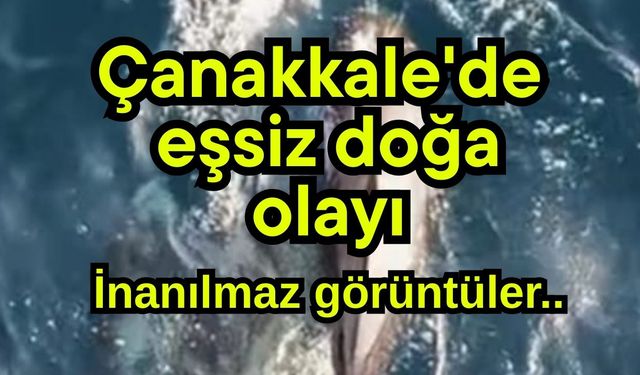 Çanakkale'de eşsiz doğa olayı