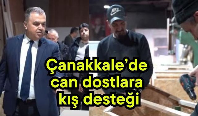 Çanakkale’de can dostlara kış desteği