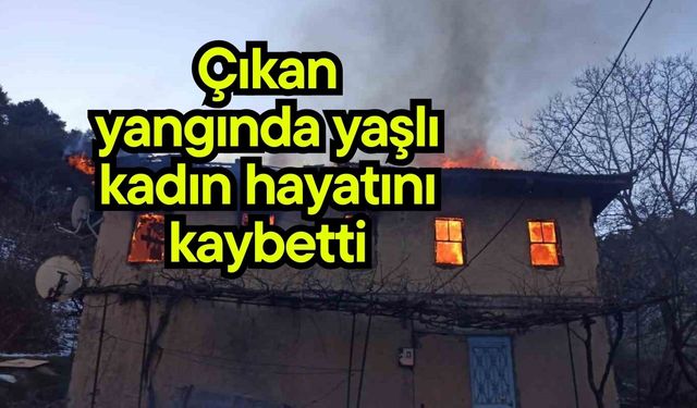 Çıkan yangında yaşlı kadın hayatını kaybetti