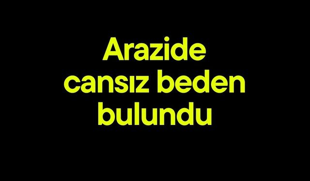 Arazide cansız beden bulundu