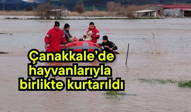 Çanakkale’de hayvanlarıyla birlikte kurtarıldı (Video)