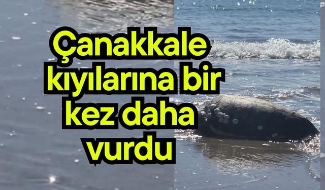 Çanakkale kıyılarına bir kez daha  vurdu