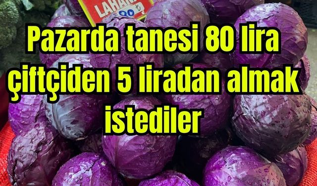 Pazarda tanesi 80 lira; çiftçiden 5 liradan almak istediler (Video)