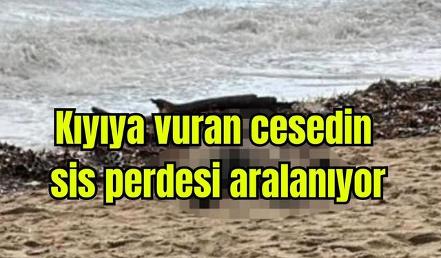 Kıyıya vuran cesedin sis perdesi aralanıyor