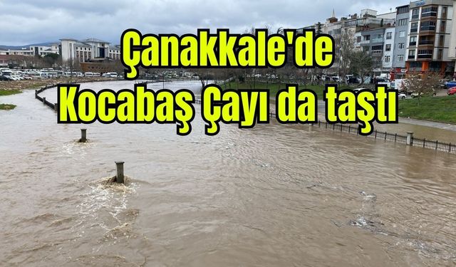 Çanakkale'de Kocabaş Çayı da taştı (Video)