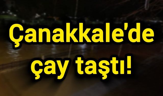 Son Dakika: Çanakkale'de çay taştı!