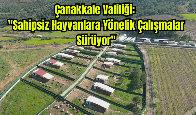 Çanakkale Valiliği: "Sahipsiz Hayvanlara Yönelik Çalışmalar Sürüyor"
