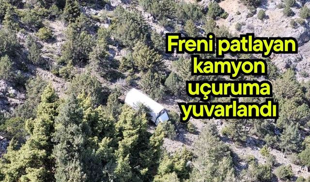 Freni patlayan kamyon uçuruma yuvarlandı