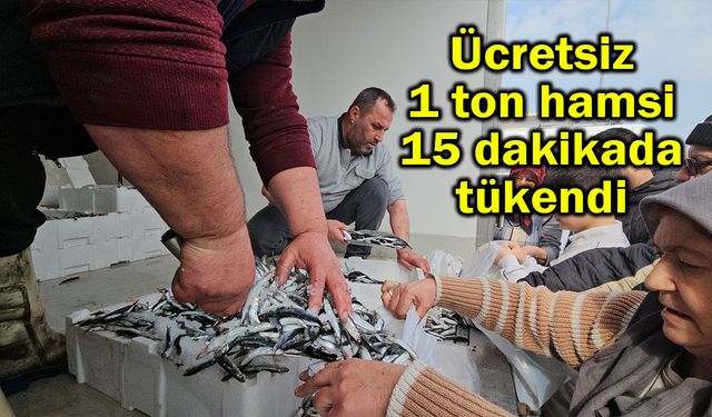 Ücretsiz 1 ton hamsi 15 dakikada tükendi (Video)