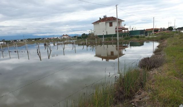 Sağanak Baskını! Yazlık Evler Su Altında Kaldı (Video)
