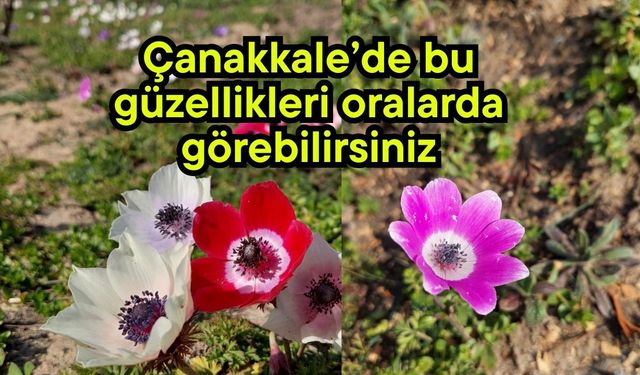 Çanakkale’de bu güzellikleri oralarda görebilirsiniz