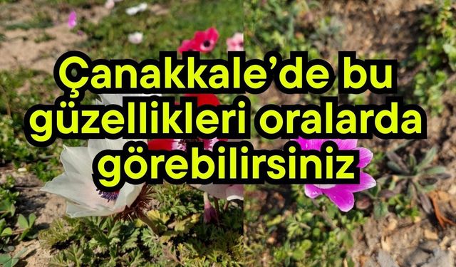 Çanakkale’de bu güzellikleri oralarda görebilirsiniz