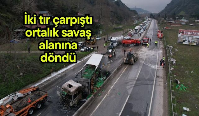 İki tır çarpıştı ortalık savaş alanına döndü