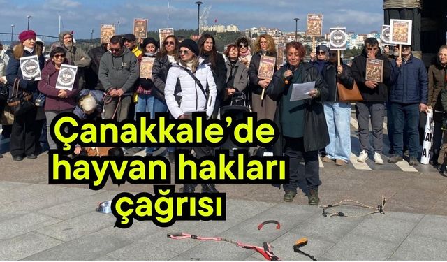 Çanakkale’de hayvan hakları çağrısı