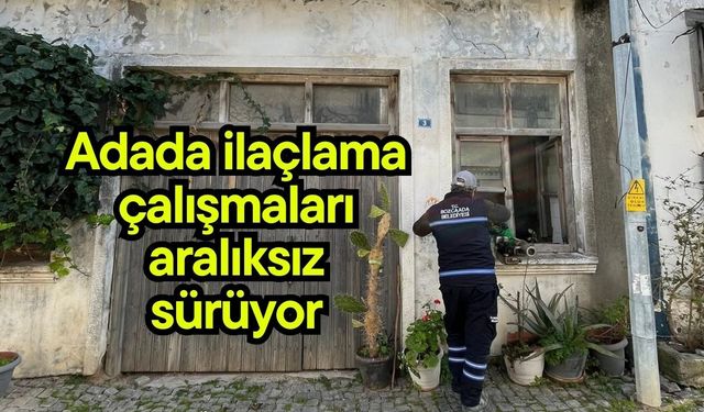Adada ilaçlama çalışmaları aralıksız sürüyor