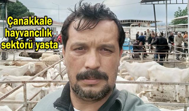 Çanakkale hayvancılık sektörü yasta